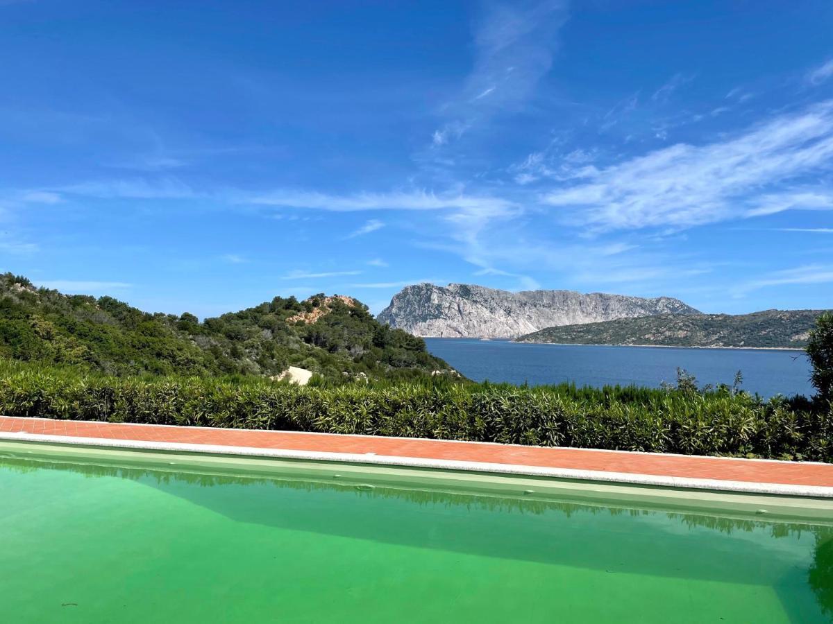 San Teodoro Punta Est Delizioso Monolocale Vista Mareアパートメント エクステリア 写真