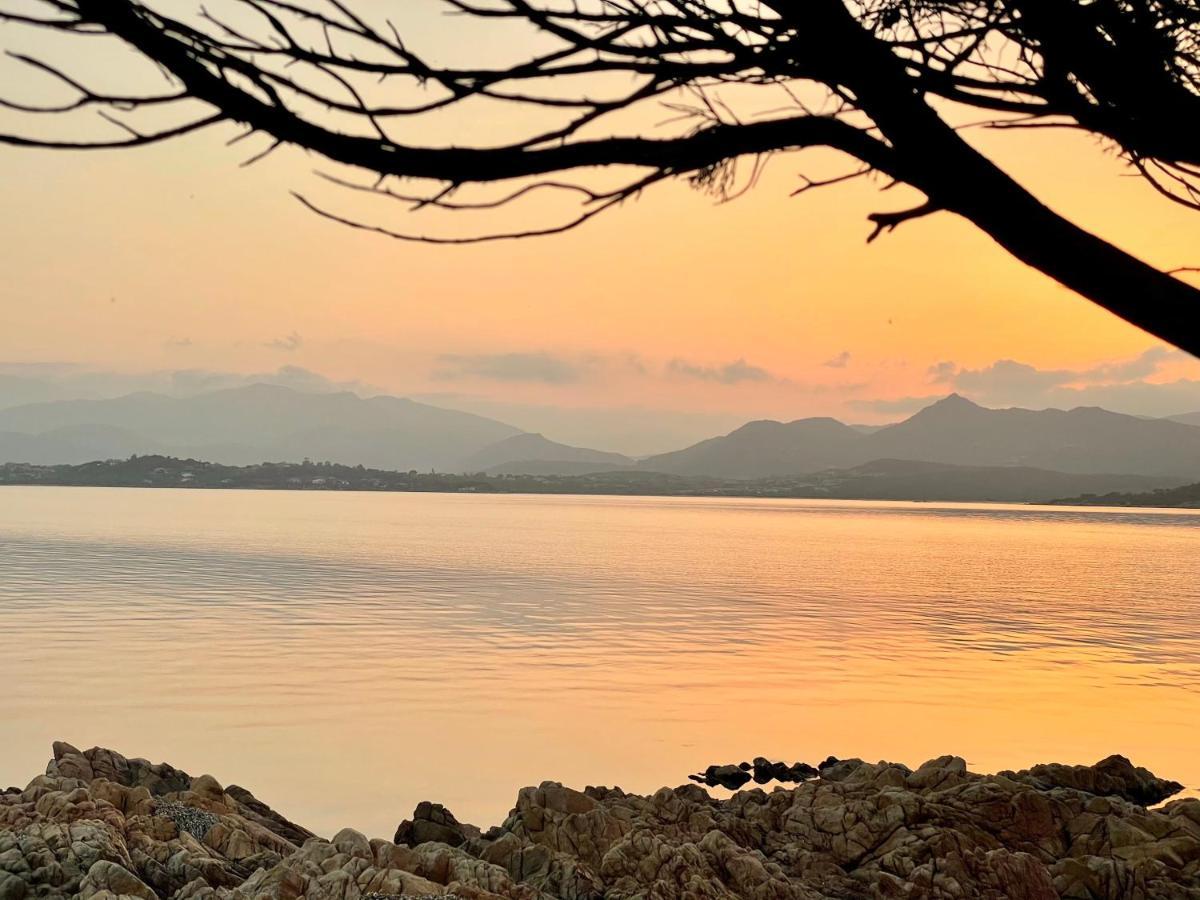 San Teodoro Punta Est Delizioso Monolocale Vista Mareアパートメント エクステリア 写真