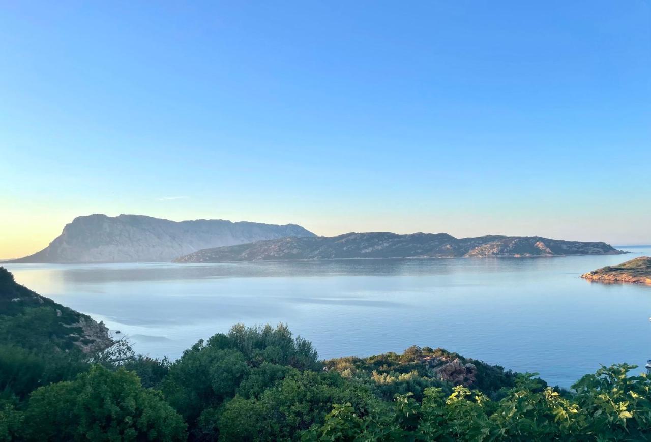 San Teodoro Punta Est Delizioso Monolocale Vista Mareアパートメント エクステリア 写真