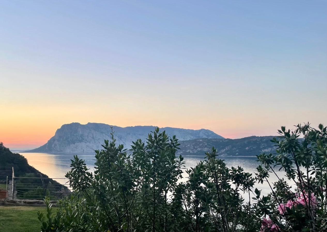 San Teodoro Punta Est Delizioso Monolocale Vista Mareアパートメント エクステリア 写真
