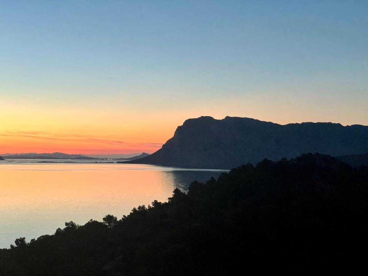 San Teodoro Punta Est Delizioso Monolocale Vista Mareアパートメント エクステリア 写真