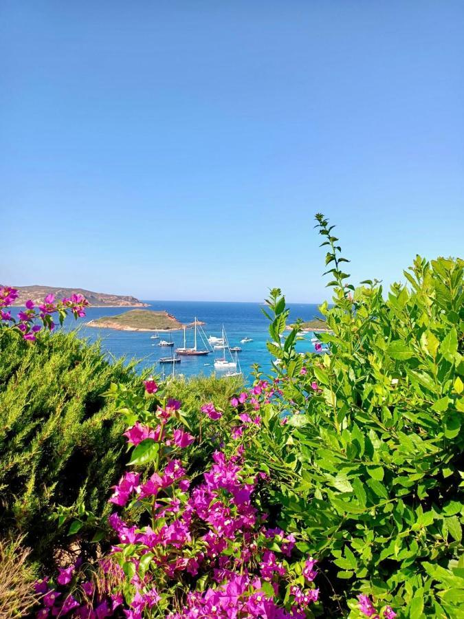 San Teodoro Punta Est Delizioso Monolocale Vista Mareアパートメント エクステリア 写真