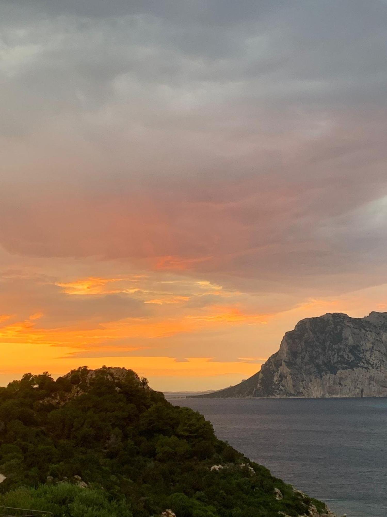 San Teodoro Punta Est Delizioso Monolocale Vista Mareアパートメント エクステリア 写真